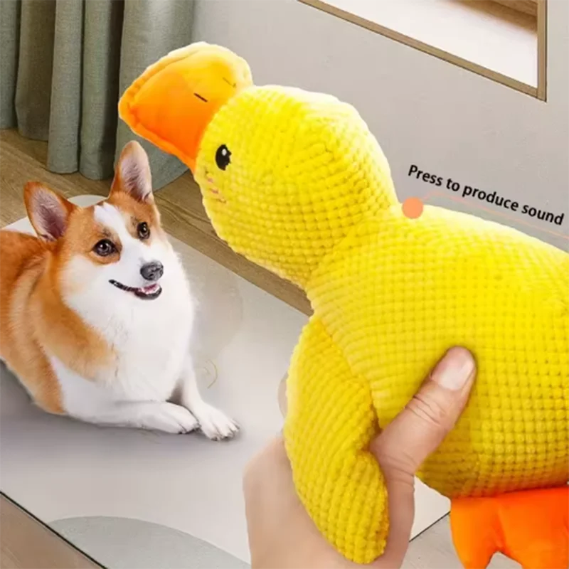 Quack & Play Duck Dog Toy