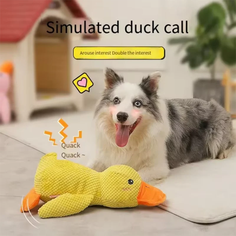 Quack & Play Duck Dog Toy