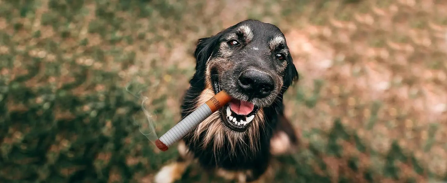 Plush Dog Toys Cigarette Interactive