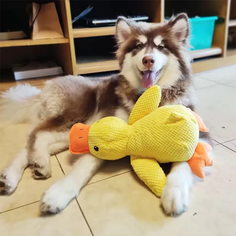Quack & Play Duck Dog Toy