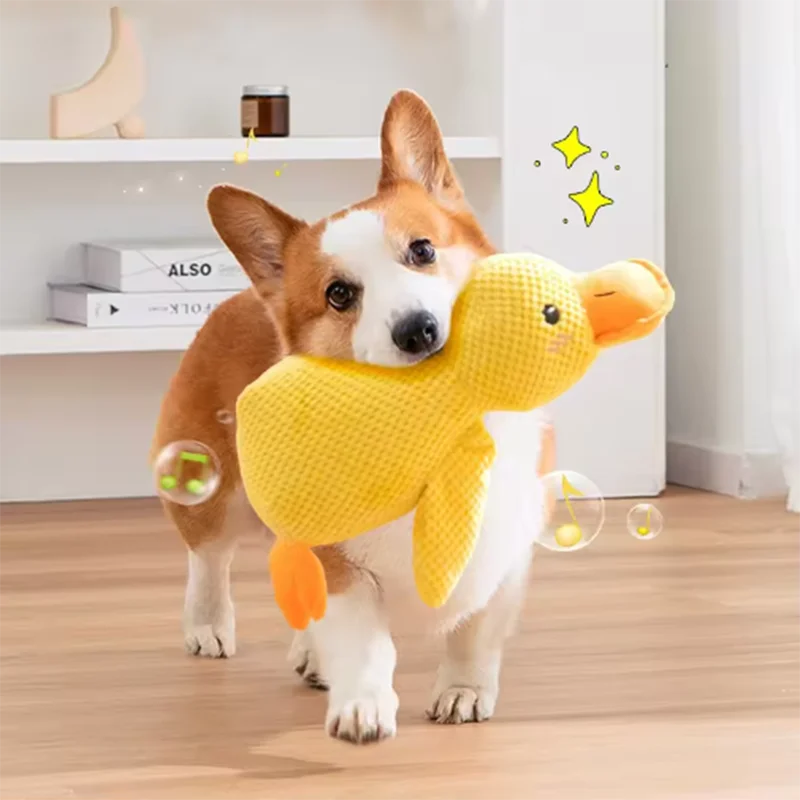 Quack & Play Duck Dog Toy