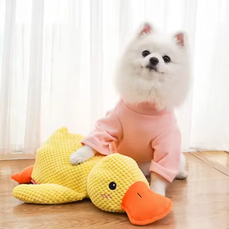 Quack & Play Duck Dog Toy