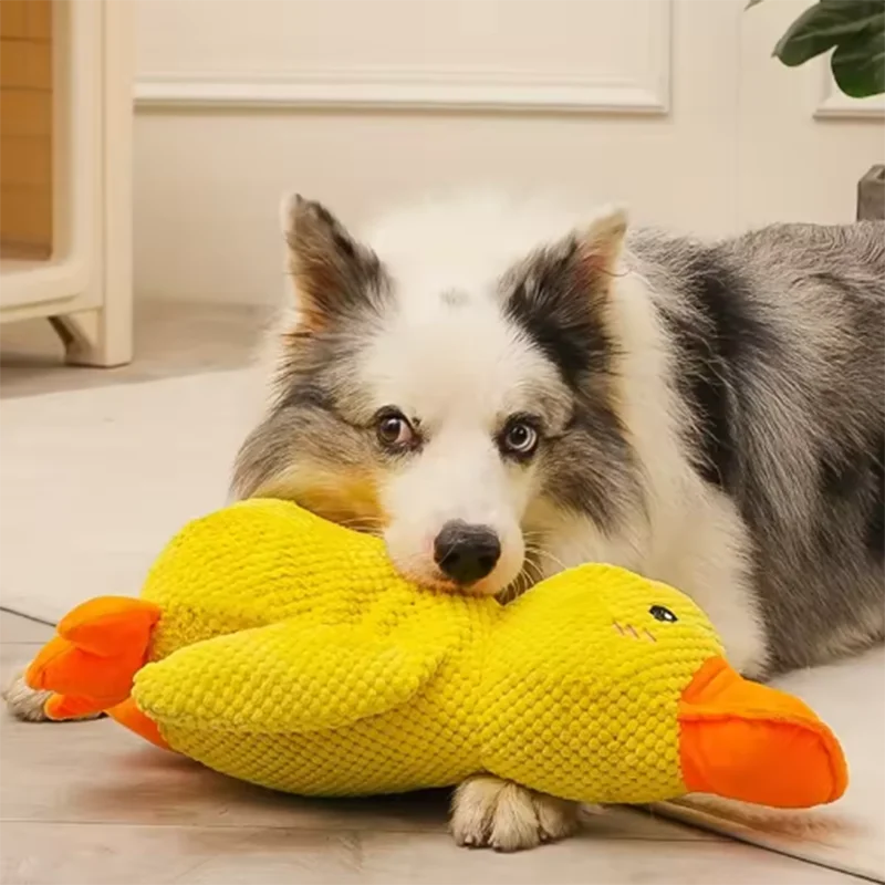 Quack & Play Duck Dog Toy
