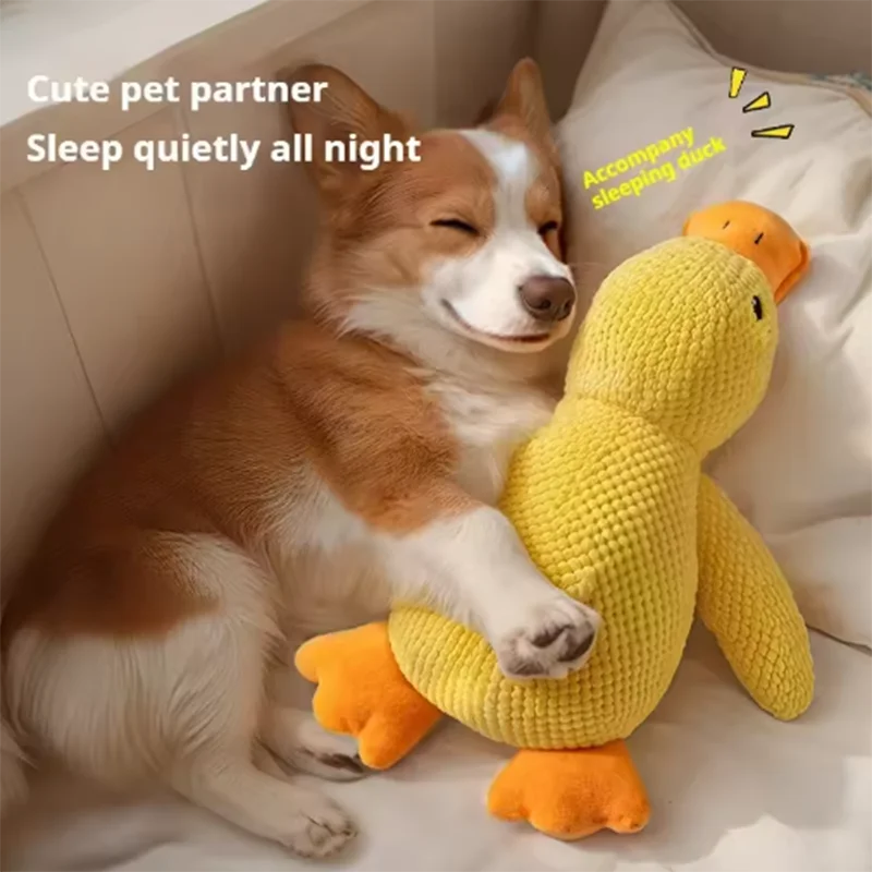 Quack & Play Duck Dog Toy