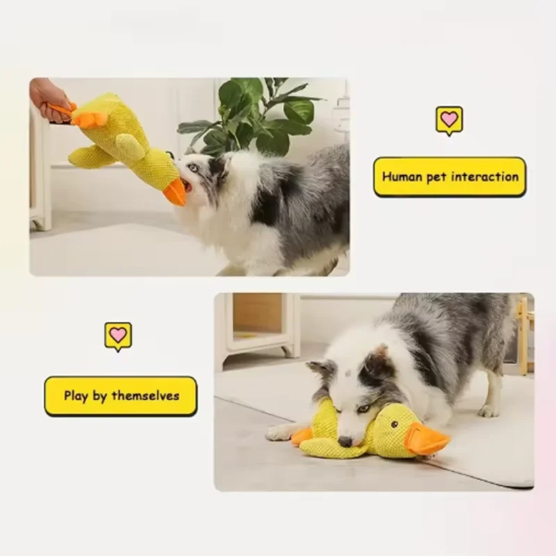 Quack & Play Duck Dog Toy
