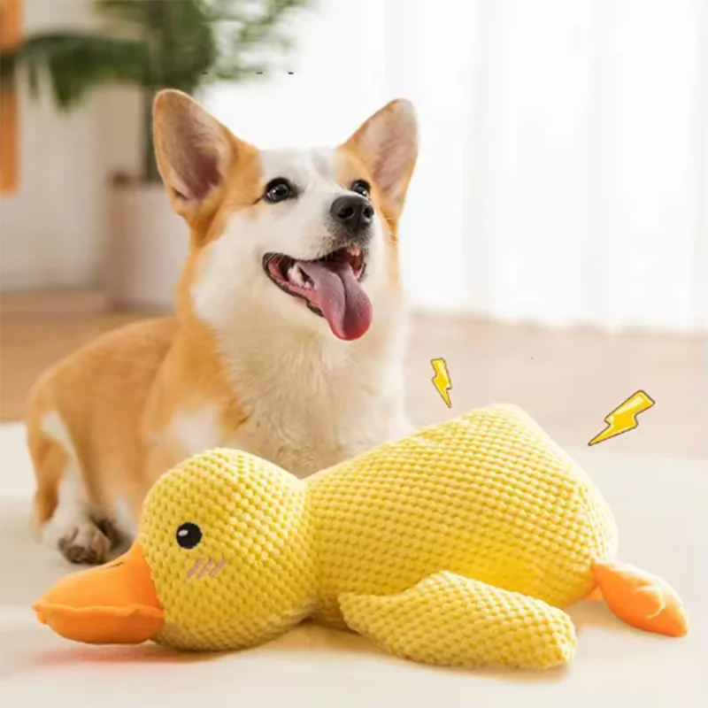 Quack & Play Duck Dog Toy