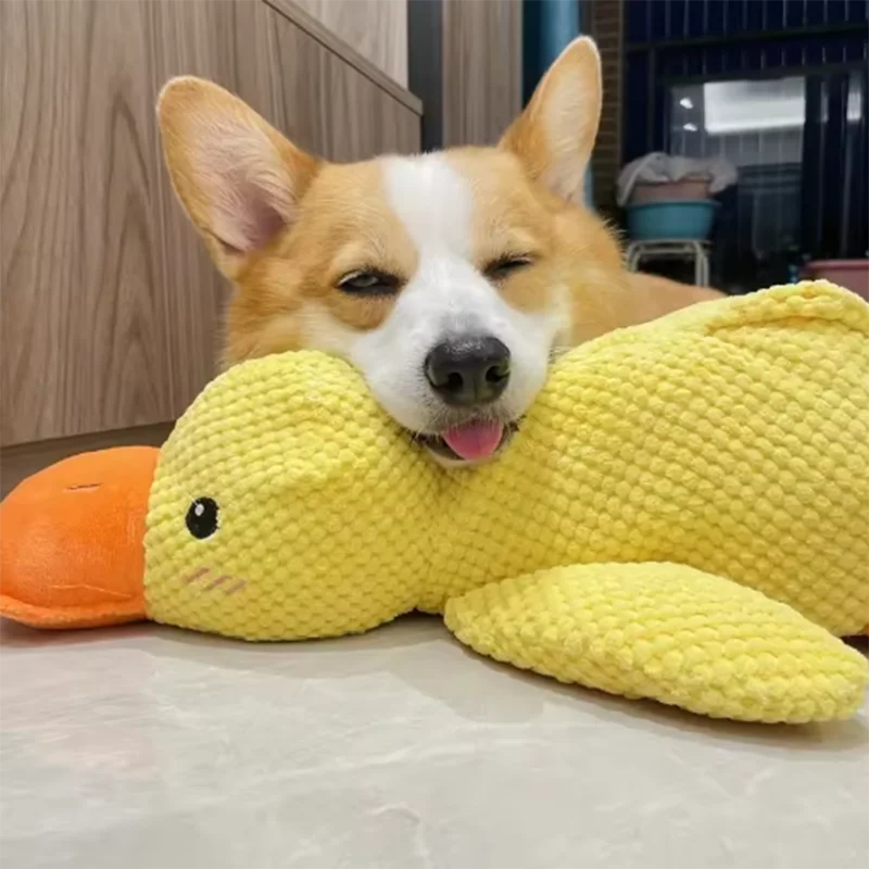 Quack & Play Duck Dog Toy