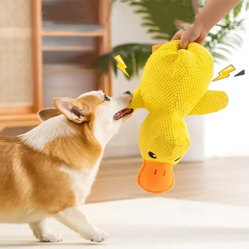 Quack & Play Duck Dog Toy